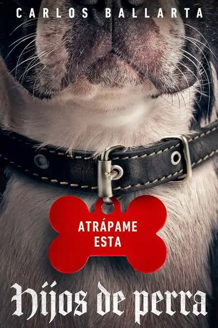 Poster Hijos de Perra