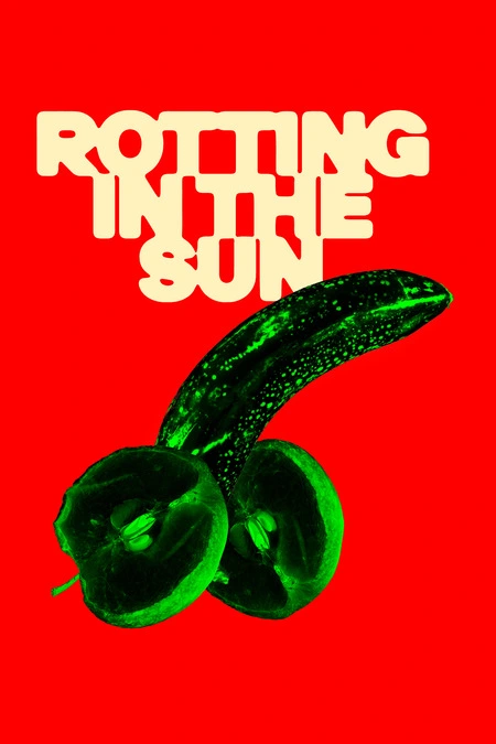 Poster Rotting in the Sun