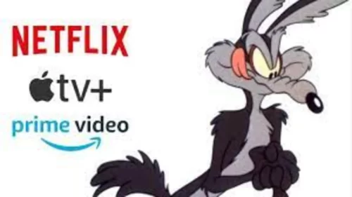 ¿Coyote Vs Acme podrá ser rescatada por Amazon?
